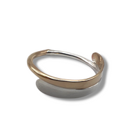 R114 - Acclivity Ring