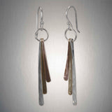 Peter James Earrings