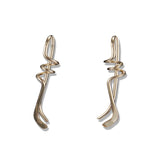 Peter James Earrings